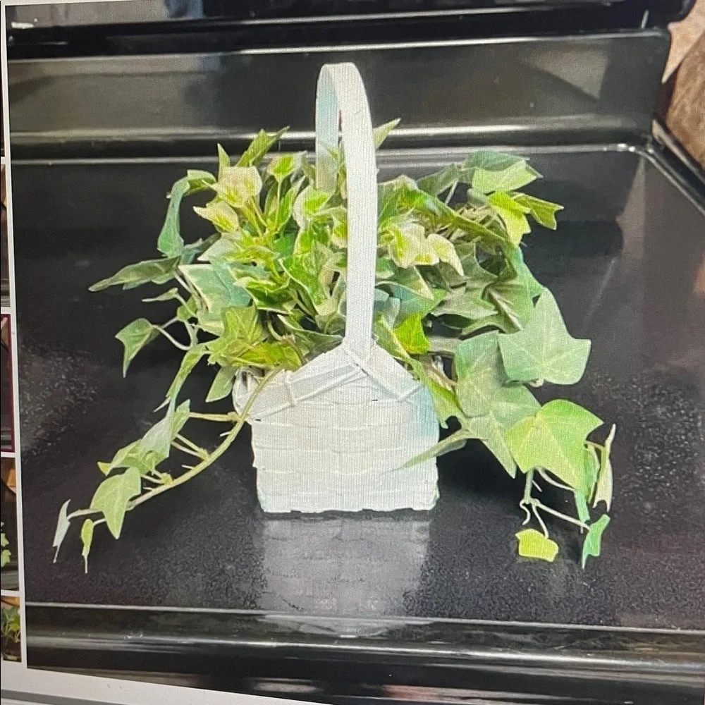Flower Shop ivy basket arrangement
